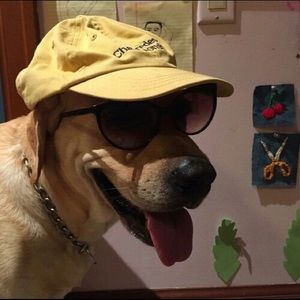 Meet your Posher, Geneva